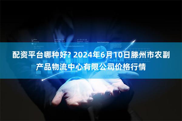 配资平台哪种好? 2024年6月10日滕州市农副产品物流中心有限公司价格行情