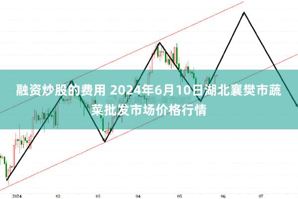 融资炒股的费用 2024年6月10日湖北襄樊市蔬菜批发市场价格行情