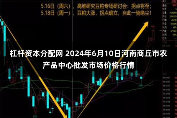 杠杆资本分配网 2024年6月10日河南商丘市农产品中心批发市场价格行情