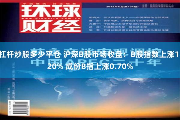 杠杆炒股多少平仓 沪深B股市场收盘：B股指数上涨1.20% 成份B指上涨0.70%