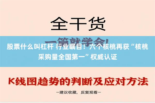 股票什么叫杠杆 行业瞩目！六个核桃再获“核桃采购量全国第一”权威认证