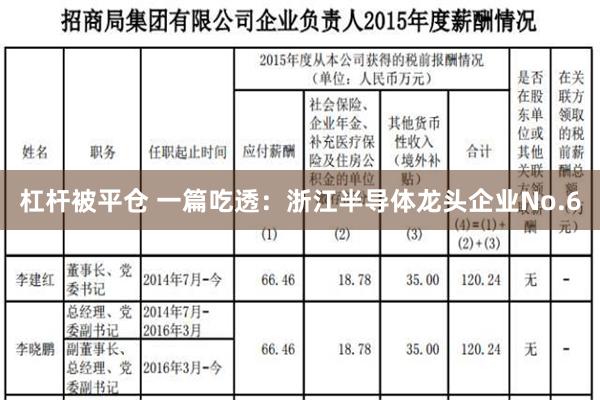 杠杆被平仓 一篇吃透：浙江半导体龙头企业No.6