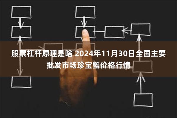 股票杠杆原理是啥 2024年11月30日全国主要批发市场珍宝蟹价格行情