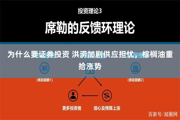 为什么要证券投资 洪涝加剧供应担忧，棕榈油重拾涨势