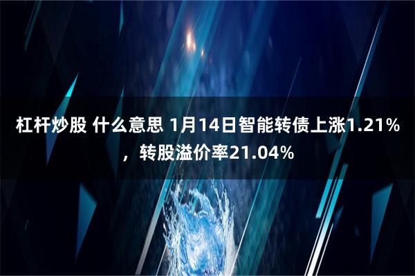 杠杆炒股 什么意思 1月14日智能转债上涨1.21%，转股溢价率21.04%