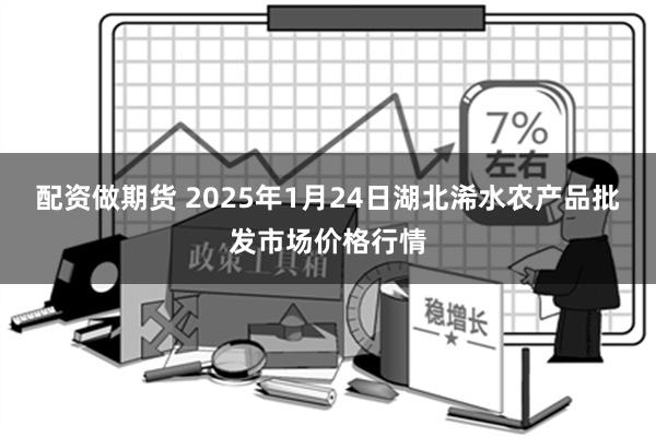 配资做期货 2025年1月24日湖北浠水农产品批发市场价格行情