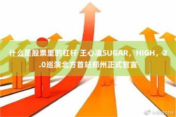 什么是股票里的杠杆 王心凌SUGAR，HIGH，2.0巡演北方首站郑州正式官宣