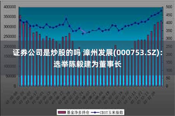 证券公司是炒股的吗 漳州发展(000753.SZ)：选举陈毅建为董事长