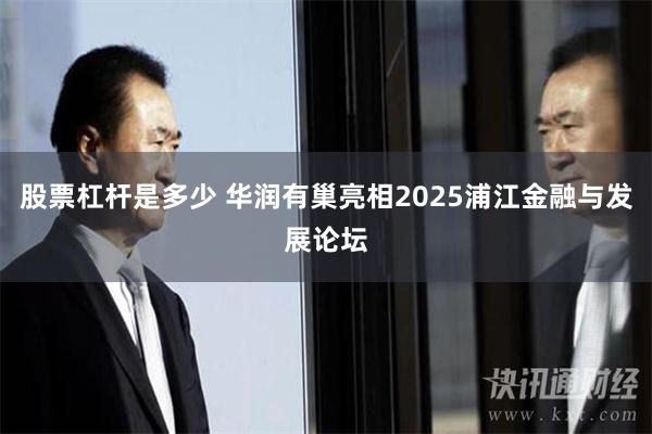 股票杠杆是多少 华润有巢亮相2025浦江金融与发展论坛